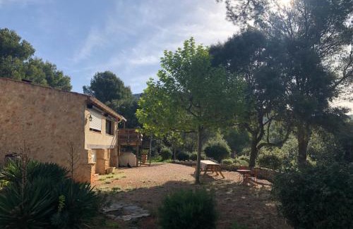 Aups House | l'Amarante