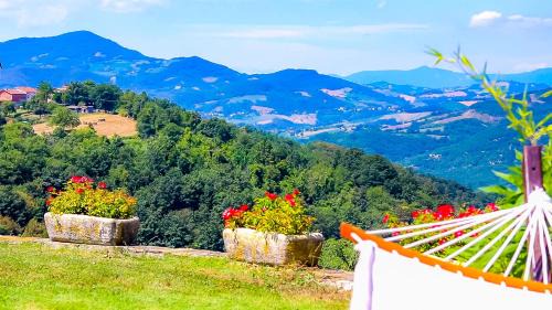 Canossa House | L'Angolo Di Verlano