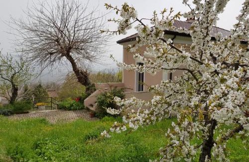 Viggiano Bed & Breakfast | L'Antico Gelso