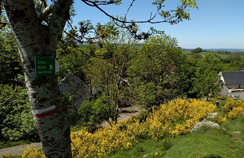 Nebouzat Apartment | L' Appart(é) Auvergne