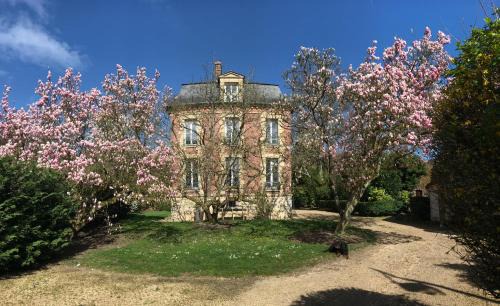 Aumont-en-Halatte Bed & Breakfast | L'Atelier des Magnolias