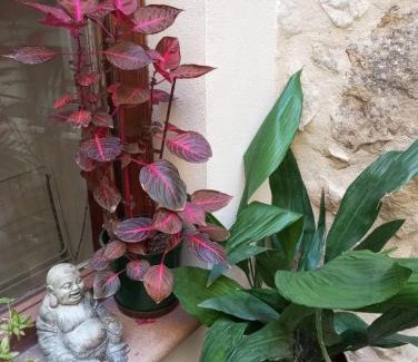Arnes Apartment | L'esgorfa d'Arnes