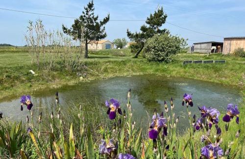 Bouin House | L ETANG DES VACANCES Maison de charme au cœur des marais pour 6pers