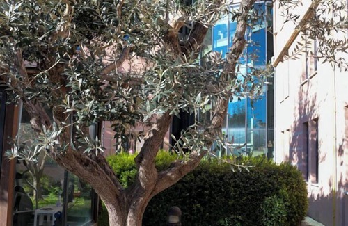 Marina di Pisa House | L'INCANTO DI BOCCADARNO