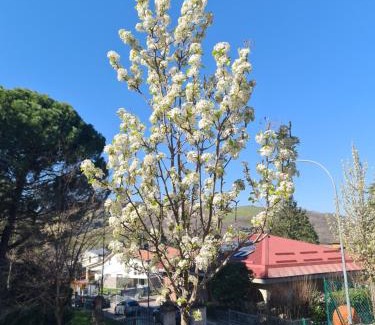 Pianoro Apartment | L'incanto sui colli con giardino privato