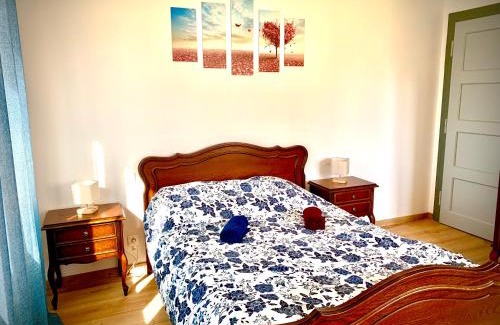 Sarrebourg Apartment | L indémodable rénové spacieux et lumineux avec 2 chambres