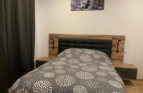 Sarrebourg Apartment | L Inimitable spacieux et lumineux avec 2 chambres