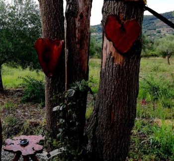 Auletta Bed & Breakfast | L'Oasi