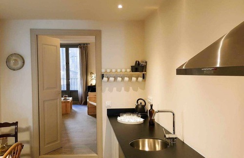 Olot Apartment | L'Orfebre, Loft in Olot. Access to indoor swimming