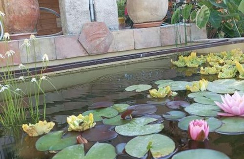 Saint-Cyr-sur-Mer Apartment | L'Oustaou Dorey