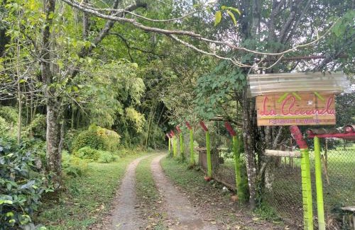 Alegrias House | La Acuarela, Posada de La Monita
