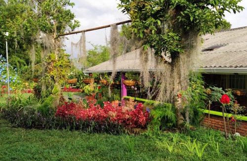 Alegrias House | La Acuarela, Posada de La Monita