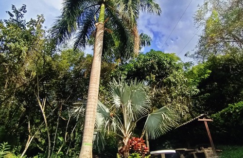 Villeta House | La Aguadita