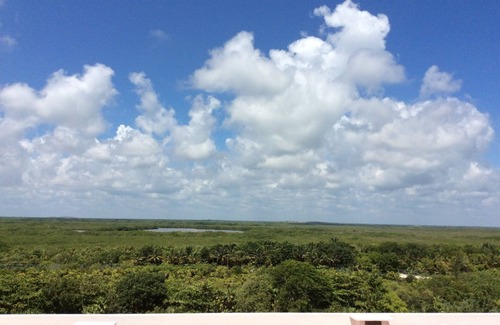 Playa Mujeres Condo | La Amada Residences - Ocean view Penthouse