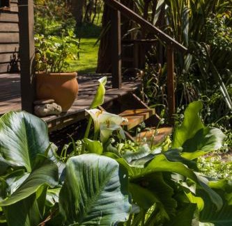 Laguna Brava House | La Casita