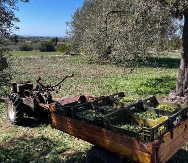Chiaramonte Gulfi Bed & Breakfast | La Bella Vita Agriturismo