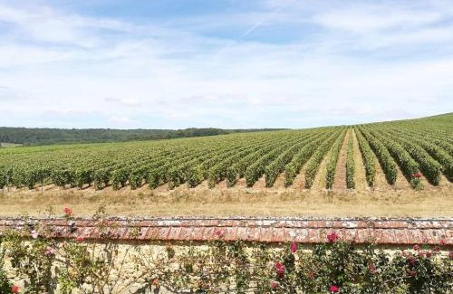 Trelou Sur Marne House | La Belle Longère, havre de paix 3 étoiles face aux vignes