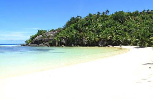 Silhouette Island Cabin | La Belle Tortue