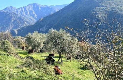 Lantosque Villa | La Bergerie des Cimes