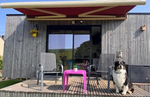 Dinant House | La Bricole