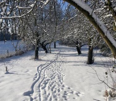 Lasne Other | La bulle bien belge avec jacuzzi