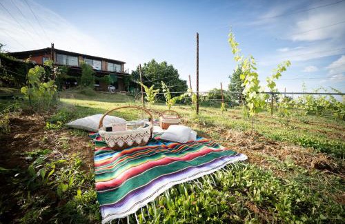 Savignano sul Panaro House | La Ca dal Non Bioagriturismo - Alpenice
