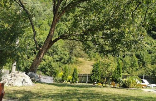 Baile Herculane House | La Cabana