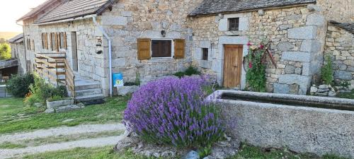 Saint-Just House | La Cantalienne du Saladou