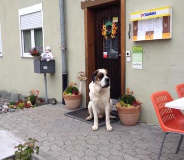 Albula-Alvra Hotel | La Cantina Restaurant