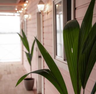 Big Creek Apartment | La Caribena Beach House- Bocas del Toro, Isla Colón, Panamá