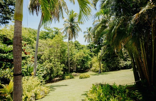 Camino Nuevo House | La Casa Blanca "jungle oasis" short walk to beach
