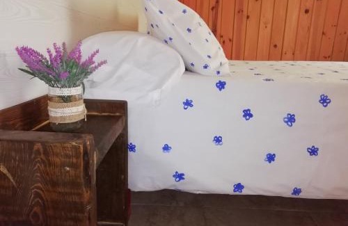 Munopepe House | La Casa de Colores