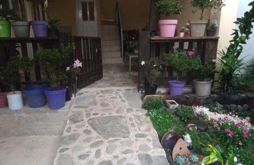 Zacatlan Apartment | La casa de las flores