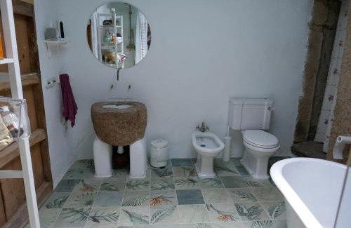 Salce House | La Casa de Salce