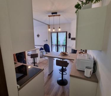 Ravascletto Apartment | La Casa degli Sbilfs - Wi-Fi, Netflix e Garage Box , a 2 minuti dallo Zoncolan