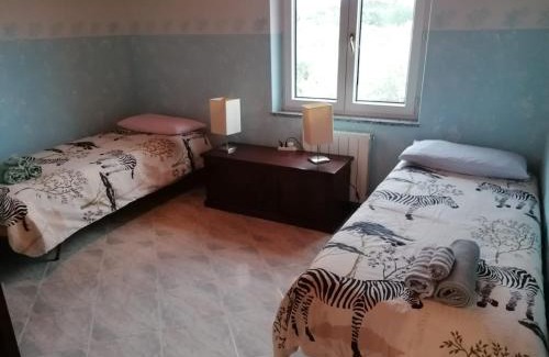 Turri Apartment | La casa degli ulivi