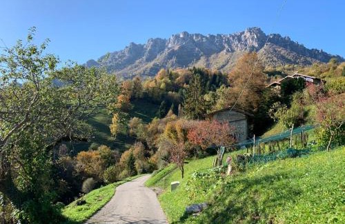Camerata Cornello House | La casa del bosco