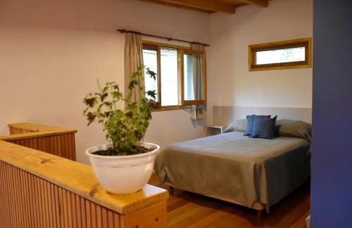 Valle Hermoso House | La Casa Del Bosque