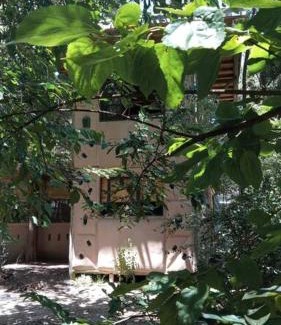 El Ensueno House | La casa del bosque