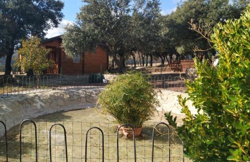 Olocau del Rey House | La casa del estanque