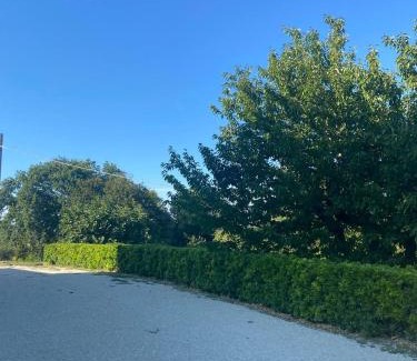 Ripatransone House | La Casa del Falegname