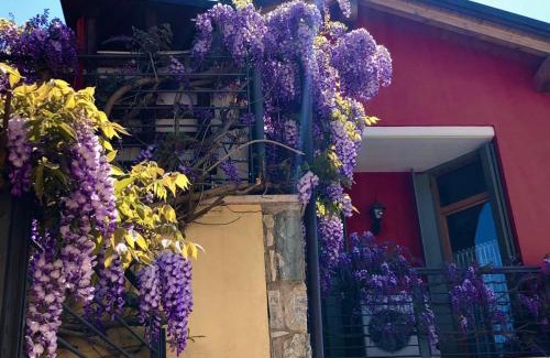 Tarzo House | La Casa del Glicine Tarzo