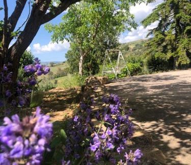Gagliano Castelferrato Cabin | La Casa Delle Olive