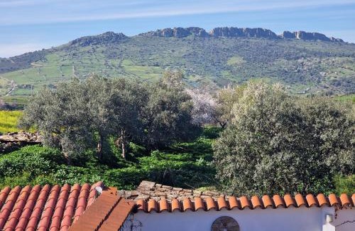 Zafra Old Town Apartment | La casa del patio ATBA00260