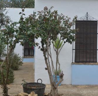Manzanilla Villa | La Casa del Valle . Descansar junto a Doñana en plena naturaleza.