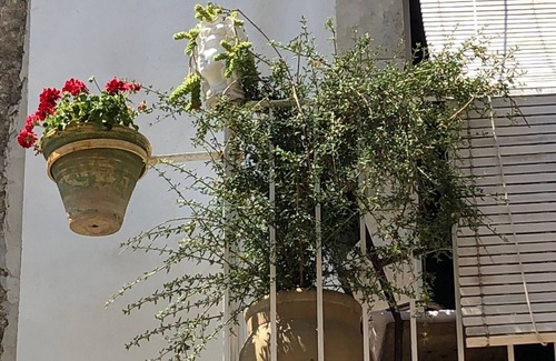 Ferla House | La Casa Dell'Artista - Short Term Rentals - Ferla