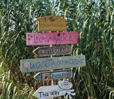 Bettolelle Apartment | La casa di Alice - Casa Natura