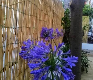 Marina di Patti House | La casa di Anna