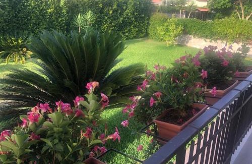 Lamezia Terme Apartment | La casa di Asia