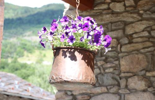 La Cretaz-Roisan Apartment | La casa di nonno "cien"